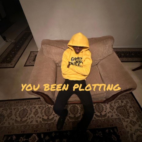 You Been Plotting | Boomplay Music