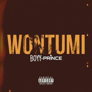 Wontumi lyrics | Boomplay Music