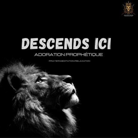 Descends Ici (Adoration prophétique) | Boomplay Music