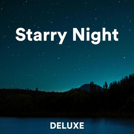 Starry Night | Boomplay Music