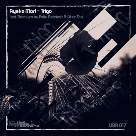 Trigo | Boomplay Music