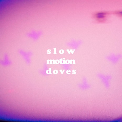 Slow Motion Doves | Boomplay Music
