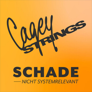 Schade - Nicht Systemrelevant