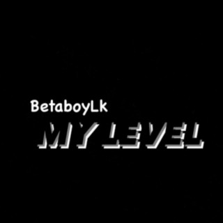 My Level lyrics | Boomplay Music