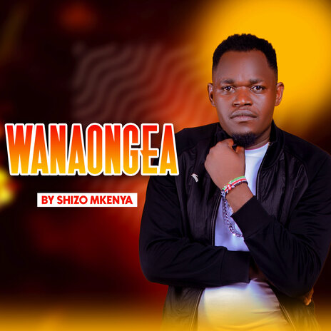 Wanaongea | Boomplay Music