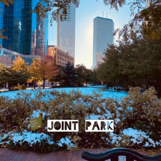 Joint Park lyrics | Boomplay Music