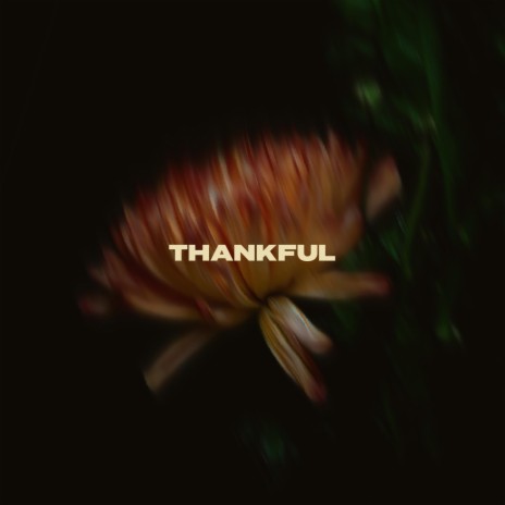 Thankful | Boomplay Music