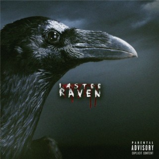 Raven lyrics | Boomplay Music
