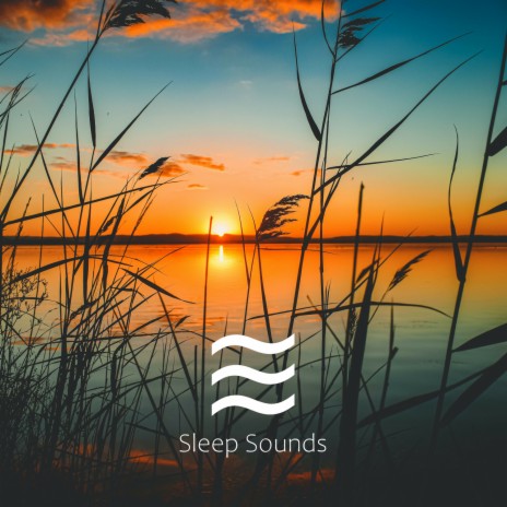 Noise for Calm and Relax | Boomplay Music