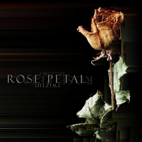 Rose Petal | Boomplay Music