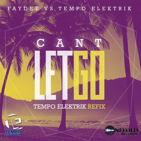 Can't Let Go (Faydee Vs Tempo Elektrik) (Tempo Elektrik Refix) ft. Tempo Elektrik | Boomplay Music