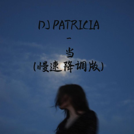 DJ PATRICIA -当(慢速降调版)