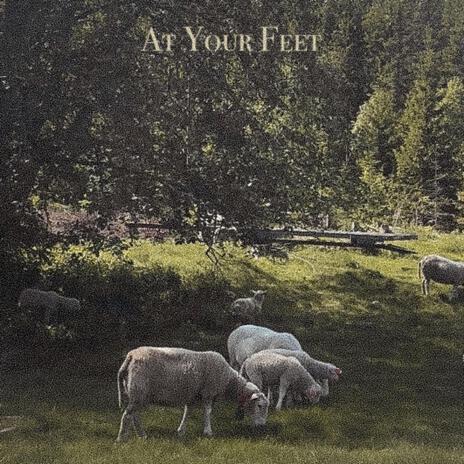 At Your Feet | Boomplay Music