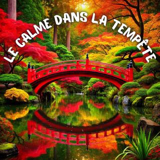 Le calme dans la tempête: Musique zen relaxante et sons de la nature pour une vie sans stress