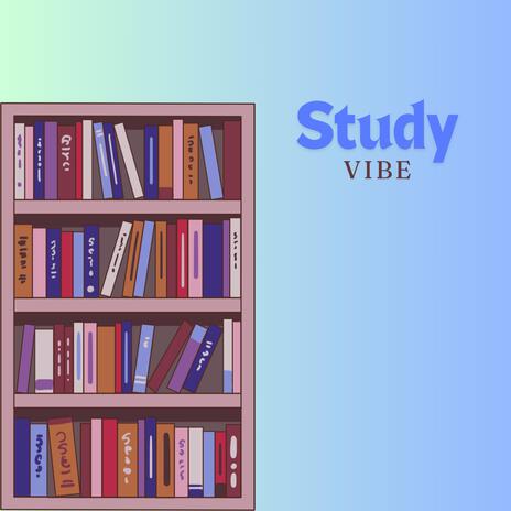 Study Vibe VIII