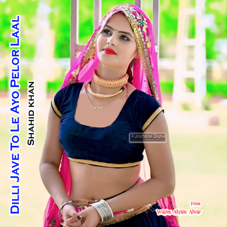 Dilli Jave To Le Ayo Pelor Laal | Boomplay Music