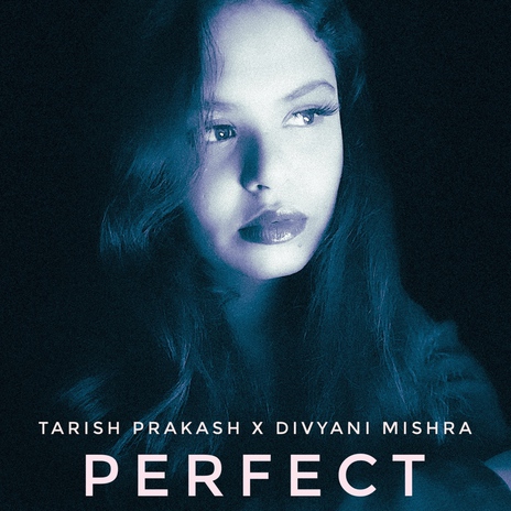 Perfect ft. Divyani Mishra | Boomplay Music