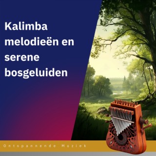 Kalimba melodieën en serene bosgeluiden