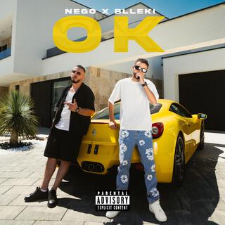 OK ft. Blleki lyrics | Boomplay Music