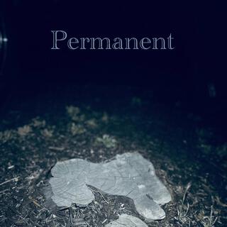 Permanent lyrics | Boomplay Music