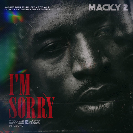 I'm Sorry | Boomplay Music