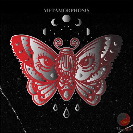 Metamorphosis