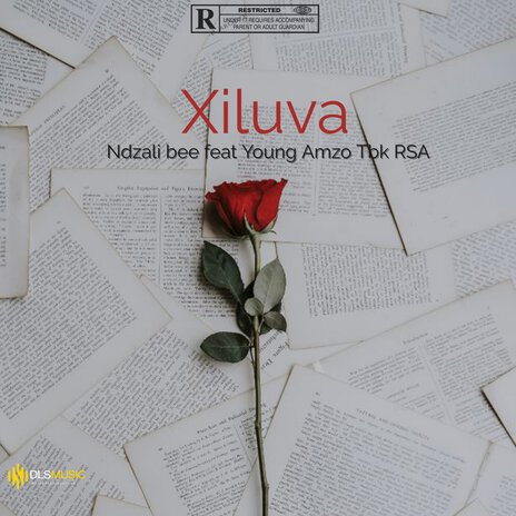 Xiluva ft. Young Amzo Tbk RSA | Boomplay Music