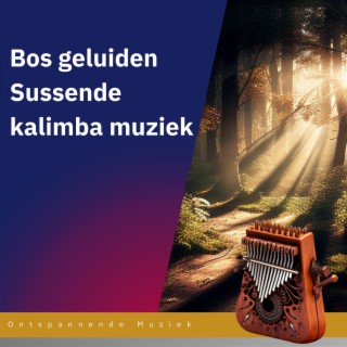 Bos geluiden, Sussende kalimba muziek