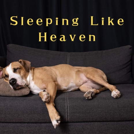 Heavenly Sleep Symphony | Boomplay Music