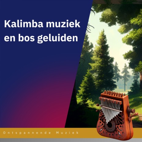 Ontspanningsmuziek | Boomplay Music