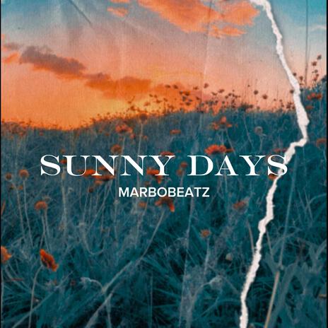 Sunny Days | Boomplay Music