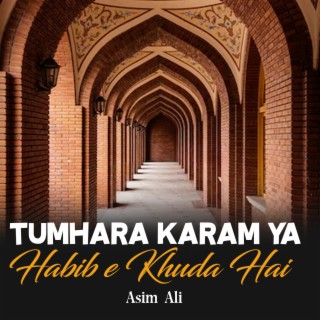 Tumhara Karam Ya Habib e Khuda Hai