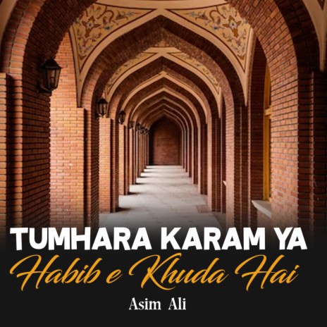 Tumhara Karam Ya Habib e Khuda Hai | Boomplay Music