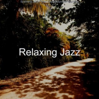 Sparkling Jazz Piano - Background for Studying