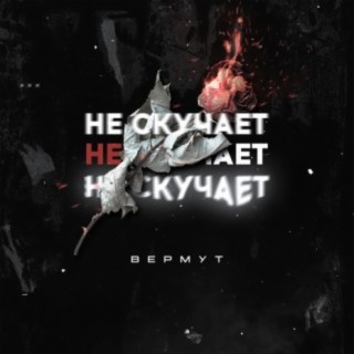 Вермут