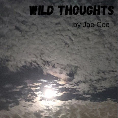 Wild Thoughts | Boomplay Music