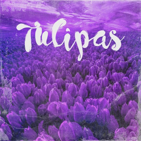 Tulipas