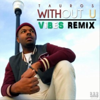 Without U (Vibes Remix)