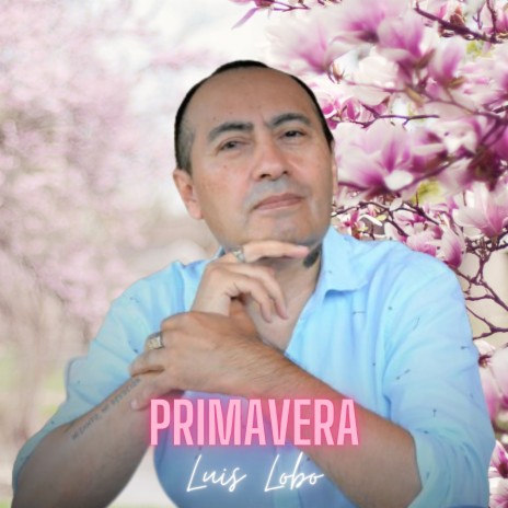 Primavera | Boomplay Music