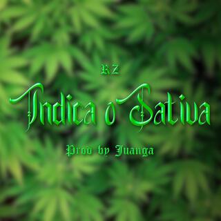 Indica o Sativa lyrics | Boomplay Music