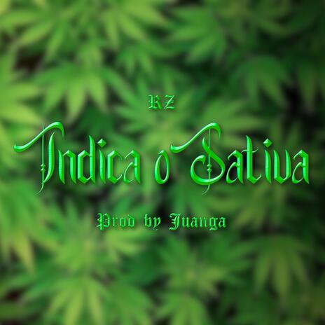 Indica o Sativa | Boomplay Music