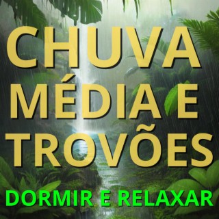 Sons de Chuva Média e Trovões (Dormir, Relaxar e Meditar)