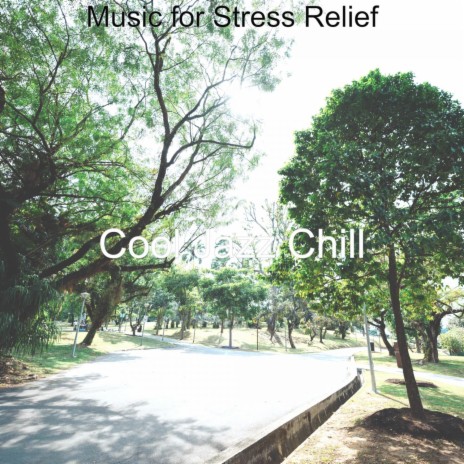 Scintillating Background Music for Stress Relief | Boomplay Music