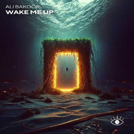 Wake Me Up | Boomplay Music