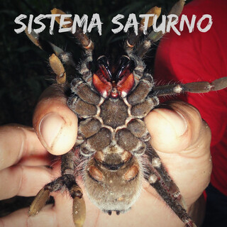 Sistema Saturno