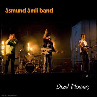 Dead Flowers lyrics | Boomplay Music