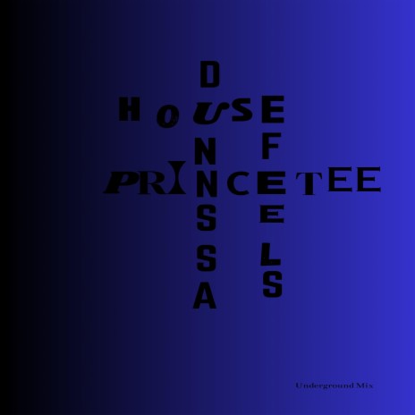 House Feels ft. Prince Tee | Boomplay Music
