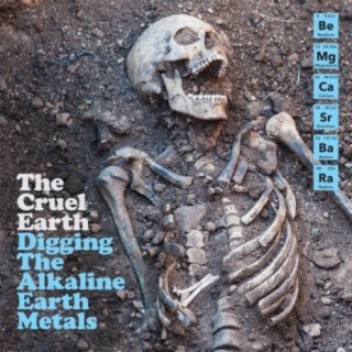 Digging The Alkaline Earth Metals