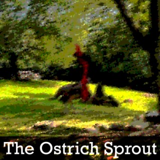 The Ostrich Sprout (Original Video Soundtrack)