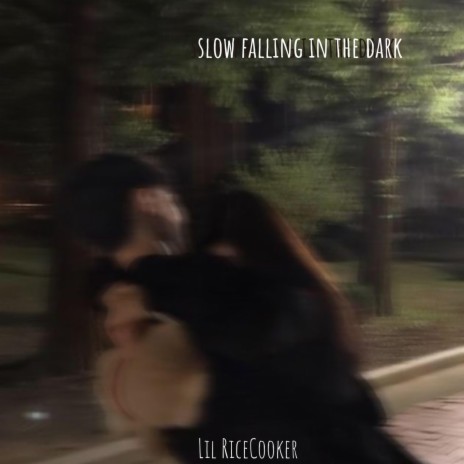 Slow Falling In The Dark